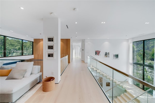 hallway featuring light hardwood / wood-style floors and a healthy amount of sunlight