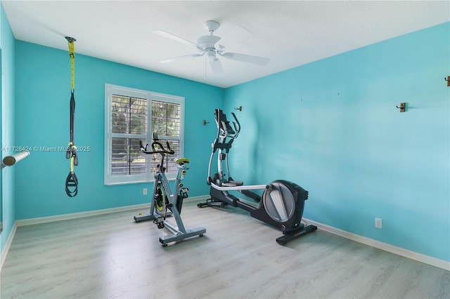 exercise room with ceiling fan and light wood-type flooring