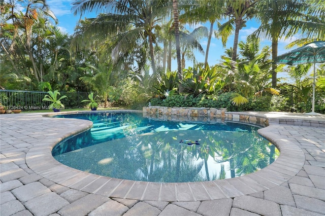 view of swimming pool featuring a patio area