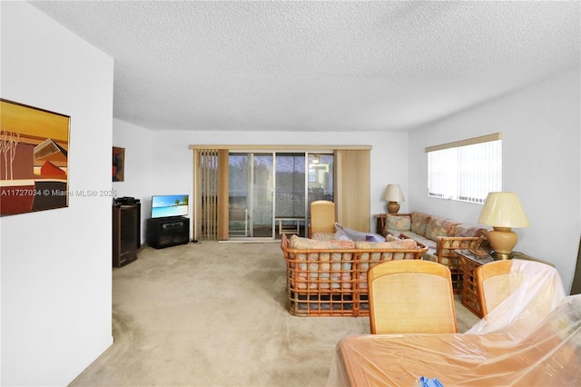 living room featuring carpet floors and a textured ceiling