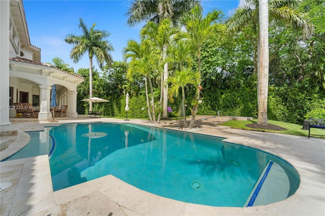 pool featuring outdoor dining area and a patio area