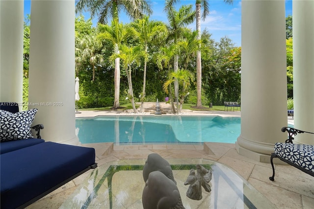 view of pool featuring a patio area