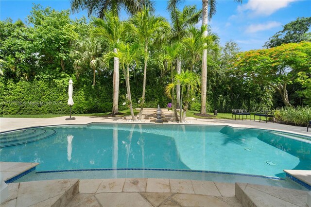 view of swimming pool with a patio