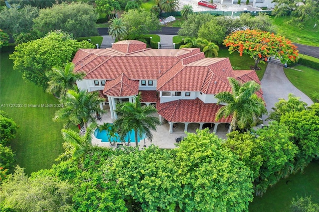 bird's eye view