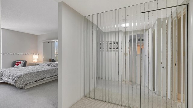 carpeted bedroom featuring a closet