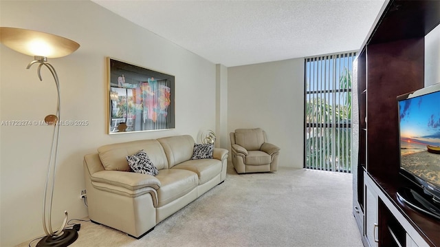 20281 E Country Club Dr Unit M6, Aventura, FL 33180 - carpeted living room featuring a wall of windows and a textured ceiling