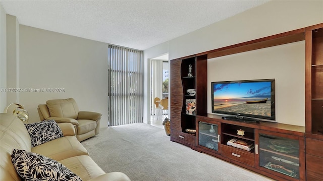 living room with a textured ceiling and carpet floors