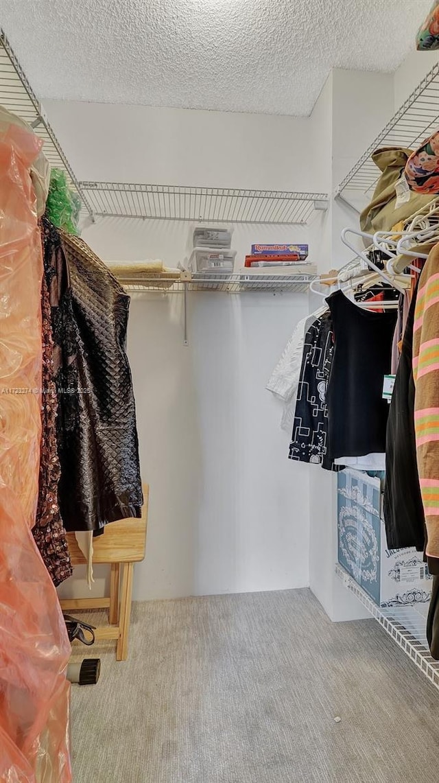 20281 E Country Club Dr Unit M6, Aventura, FL 33180 - spacious closet with carpet flooring