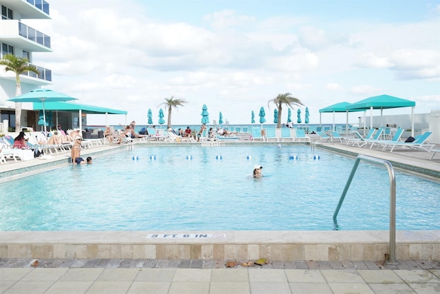 view of swimming pool with a patio