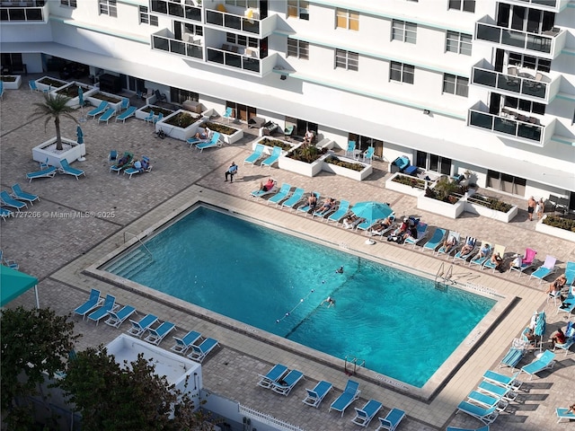 view of swimming pool