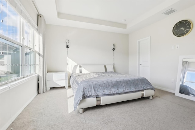 carpeted bedroom with a raised ceiling