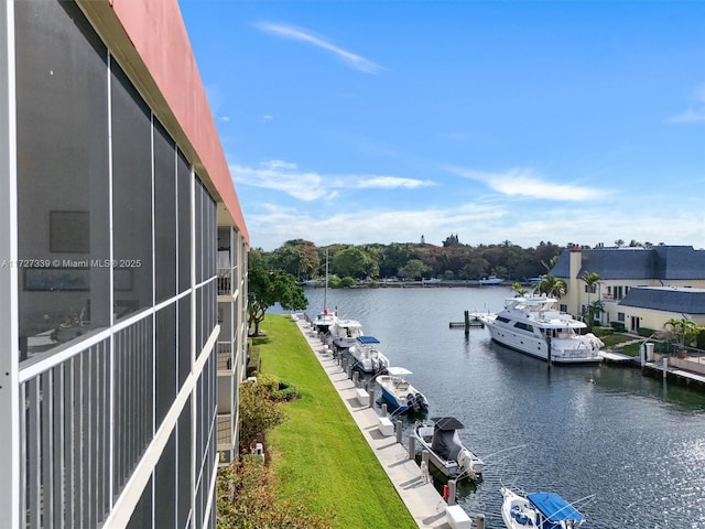 water view featuring a boat dock