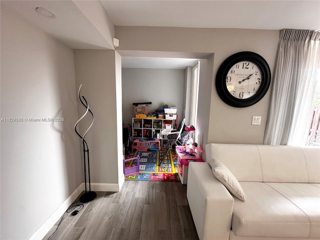 game room featuring hardwood / wood-style floors