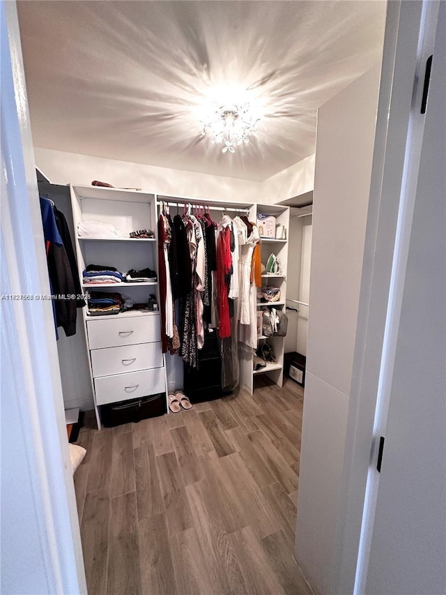 spacious closet featuring wood-type flooring