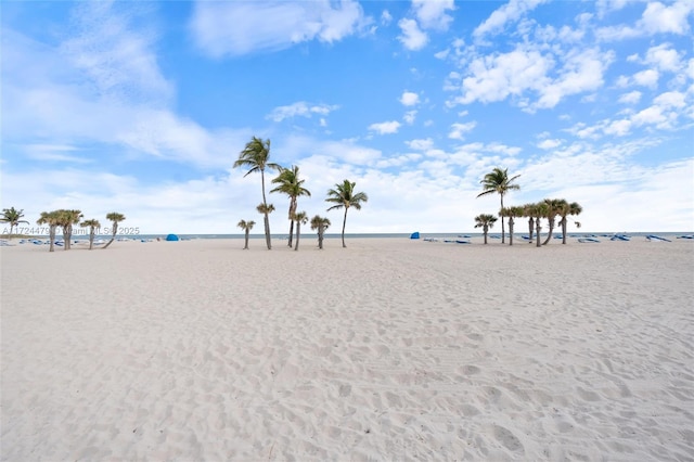 water view featuring a beach view