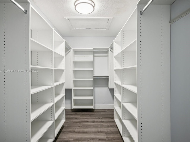 spacious closet with dark hardwood / wood-style floors