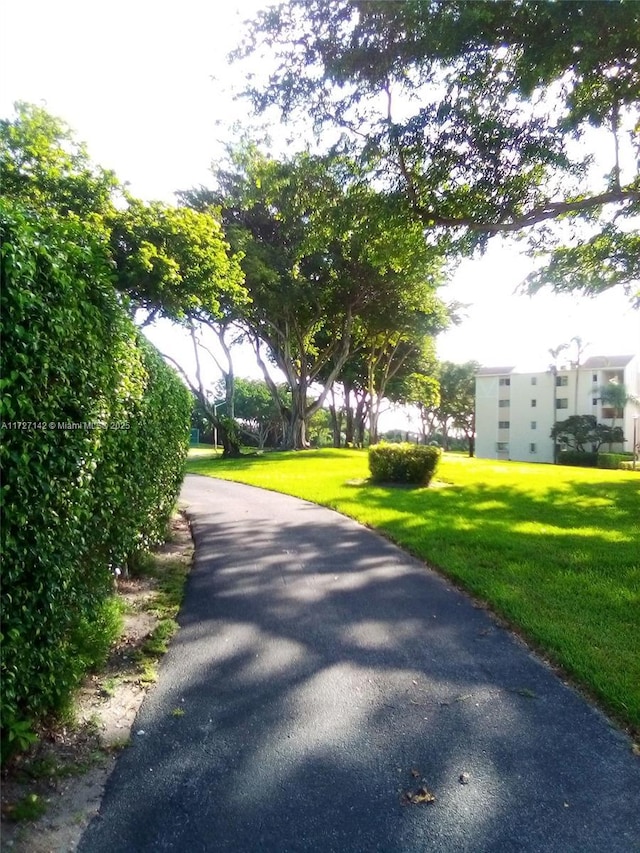 view of community featuring a yard