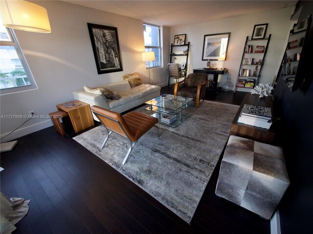 living room with dark hardwood / wood-style floors