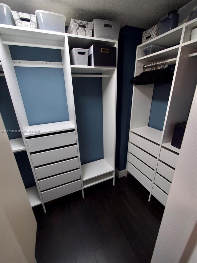 walk in closet with dark hardwood / wood-style floors