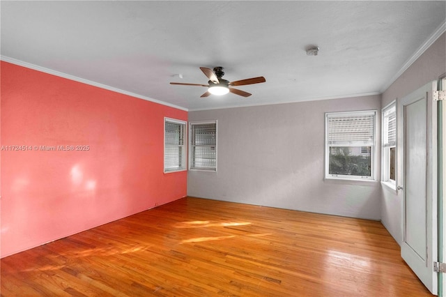 spare room featuring crown molding, light hardwood / wood-style flooring, and ceiling fan