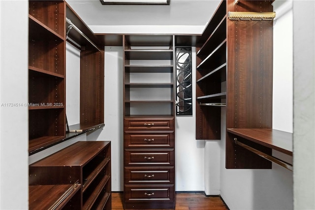 spacious closet with dark wood-type flooring