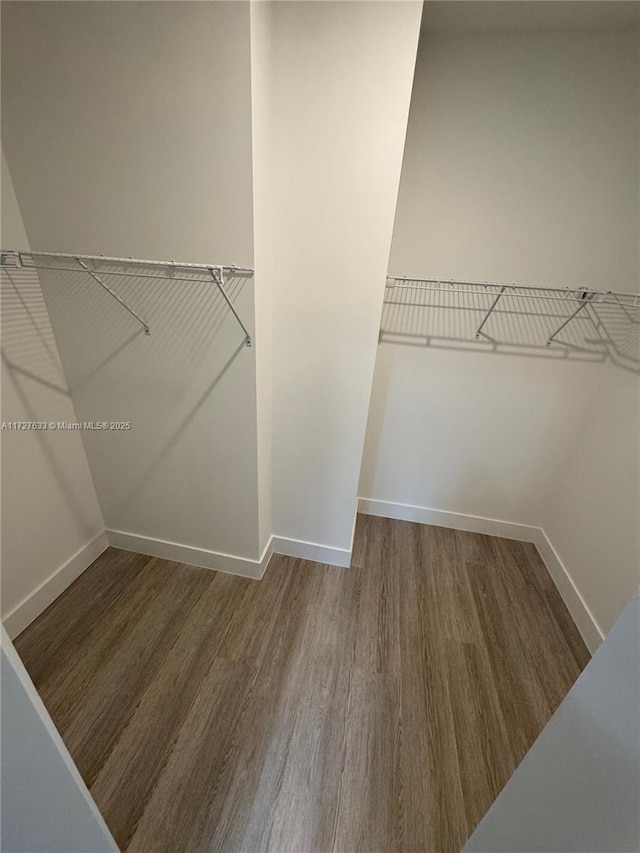 walk in closet with dark hardwood / wood-style floors