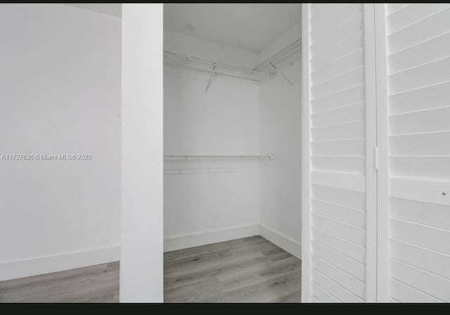 spacious closet featuring light wood-type flooring