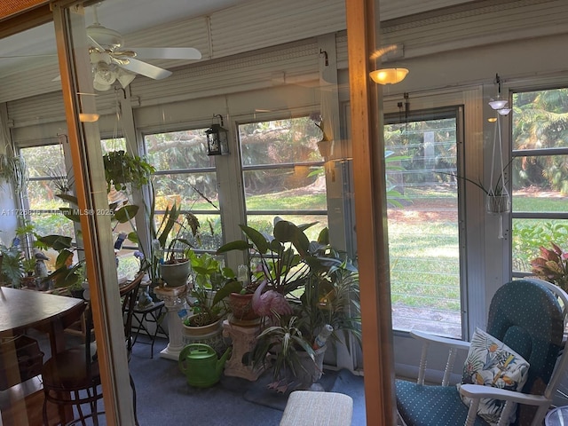 sunroom featuring ceiling fan