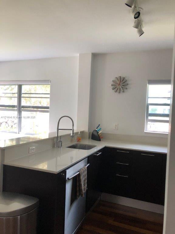 kitchen with sink, stainless steel dishwasher, kitchen peninsula, and a healthy amount of sunlight