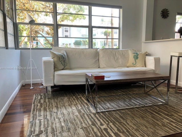 living room featuring dark hardwood / wood-style flooring