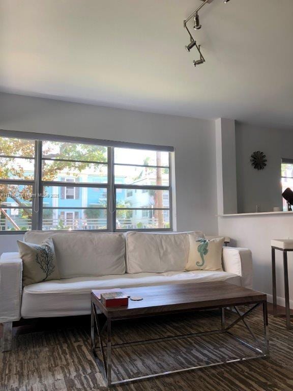 living room with track lighting and hardwood / wood-style floors