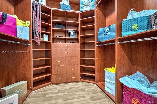 spacious closet featuring light wood-type flooring