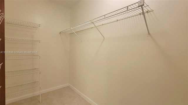 view of spacious closet