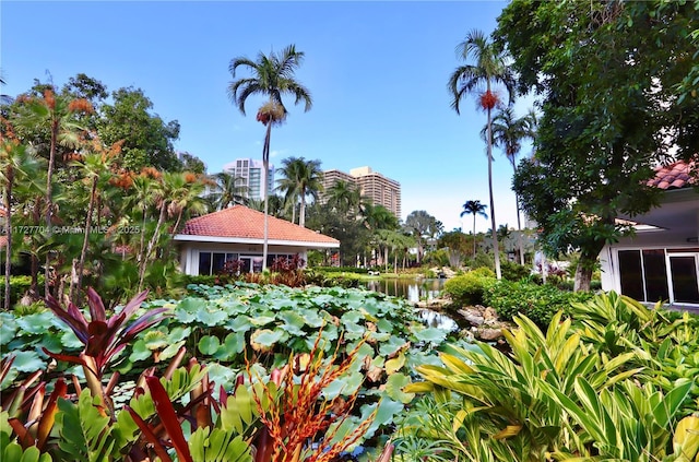 view of home's community with a water view