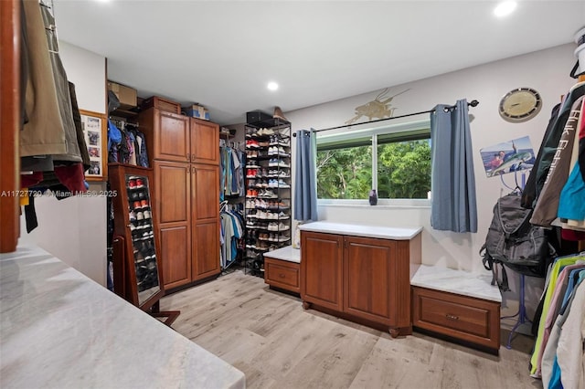 walk in closet featuring light hardwood / wood-style flooring