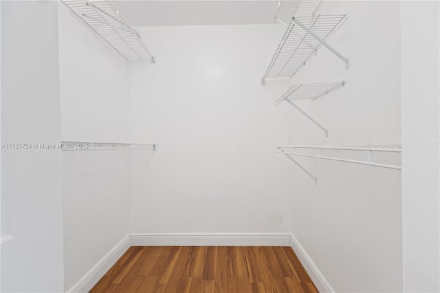 spacious closet with wood-type flooring