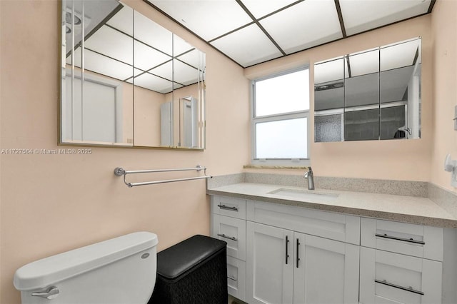 bathroom with toilet and vanity