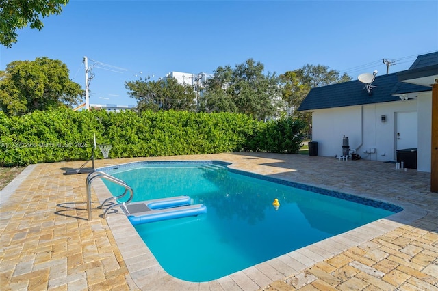 view of pool featuring a patio area