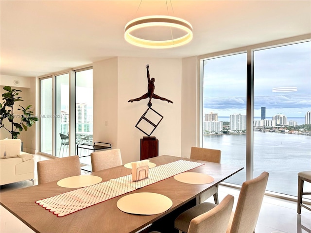 dining space featuring floor to ceiling windows and plenty of natural light