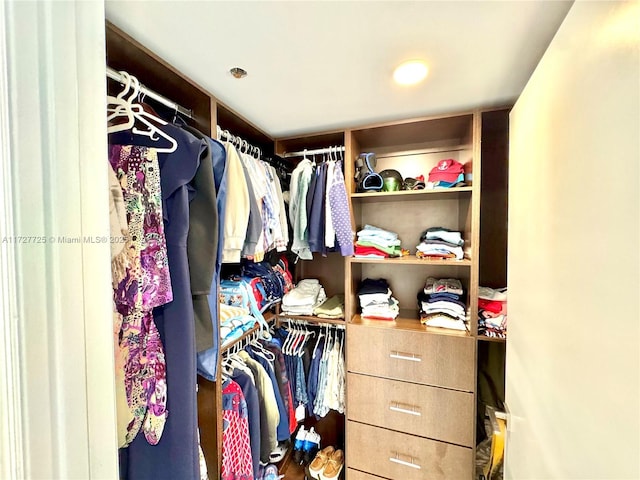 view of spacious closet