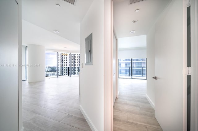 hall featuring electric panel and expansive windows