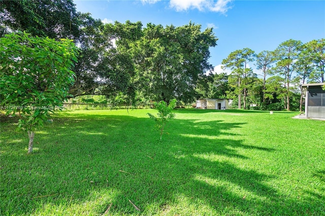 view of yard with a storage shed