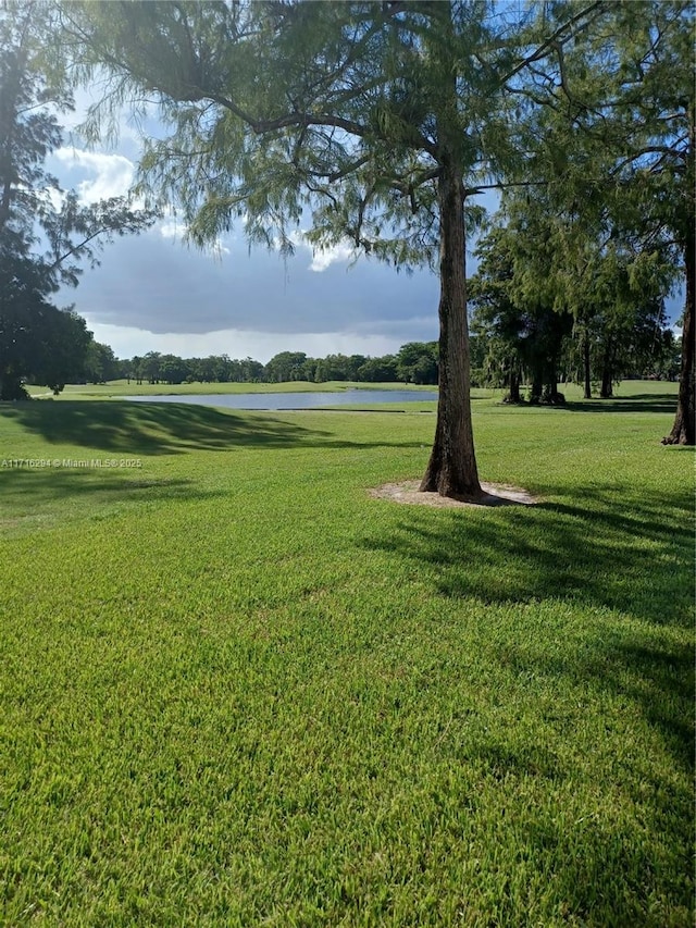 view of property's community featuring a yard