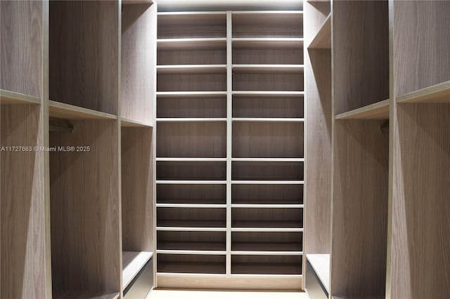 view of spacious closet