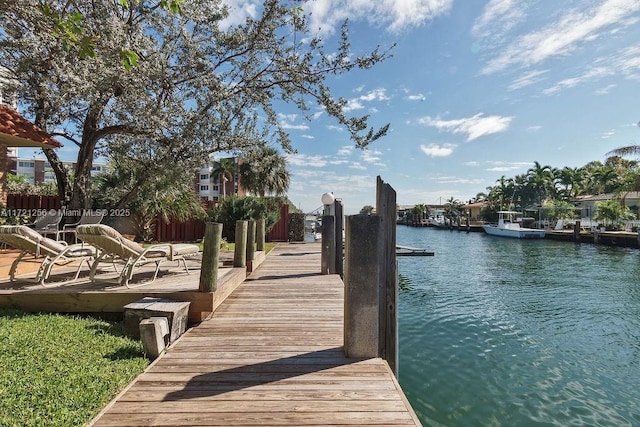 dock area with a water view