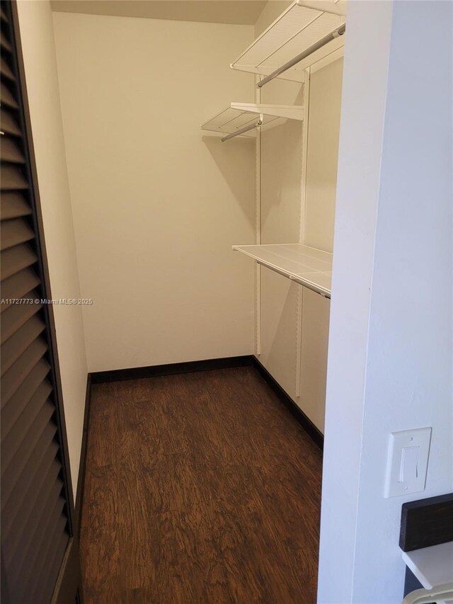 walk in closet featuring dark wood-type flooring