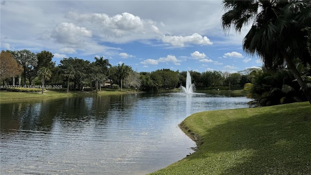 view of water feature