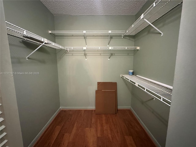 spacious closet featuring wood-type flooring