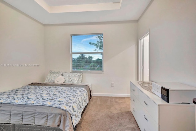 carpeted bedroom with a raised ceiling