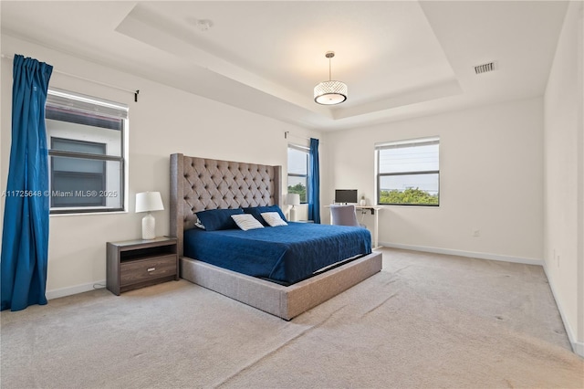 bedroom featuring carpet floors and a raised ceiling